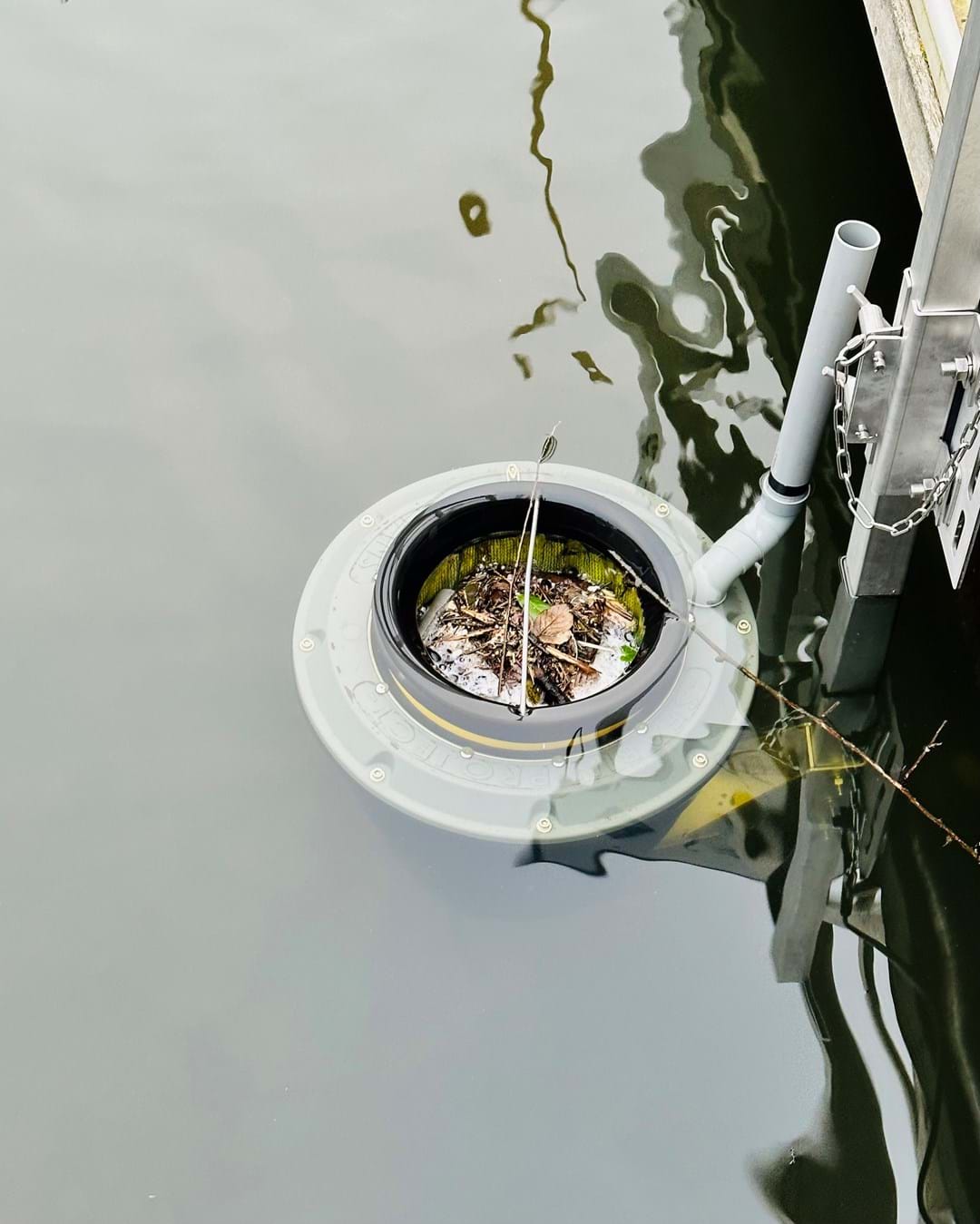 Shepperton Marina's pledge to be more Environmentally Friendly